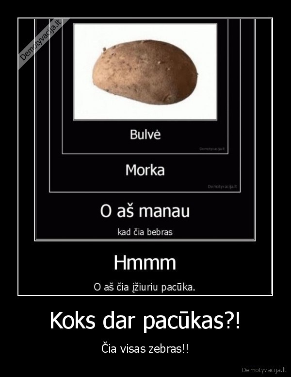 Koks dar pacūkas?!