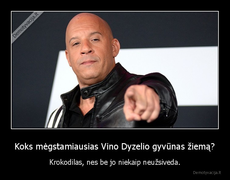 vinas, dyzelis,krokodilas,ziema