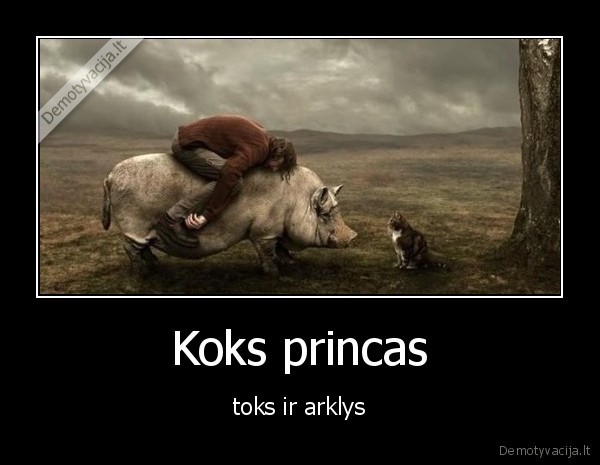 Koks princas