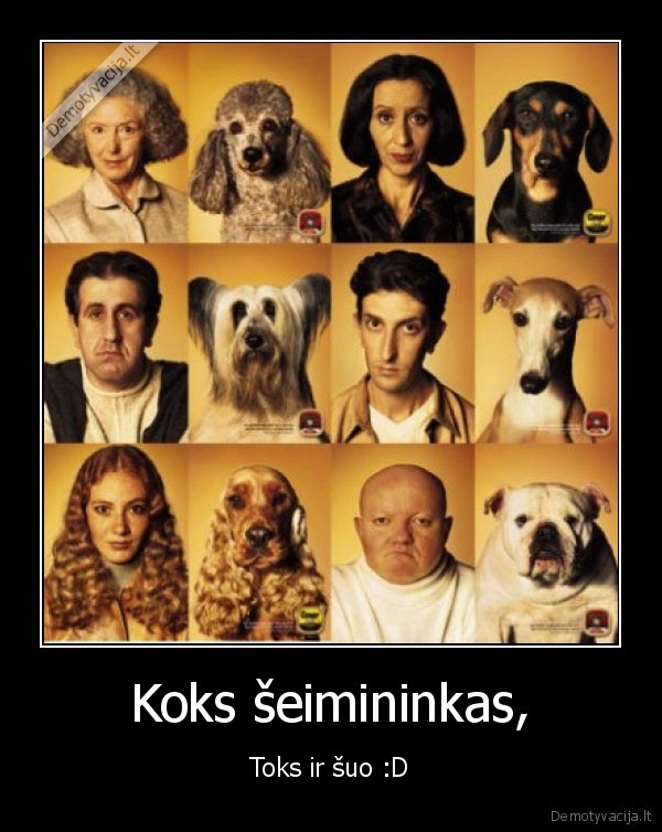 Koks šeimininkas,