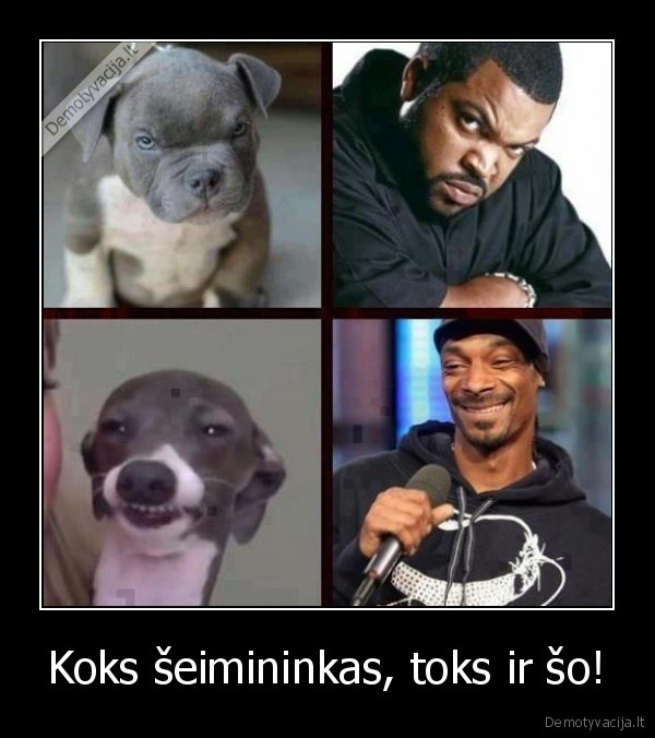 Koks šeimininkas, toks ir šo!