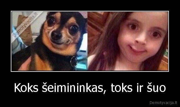 Koks šeimininkas, toks ir šuo