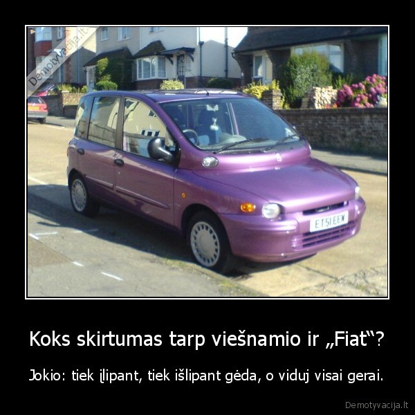 fiat, viesnamis,multipla