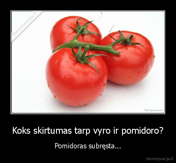 vyras,pomidoras,subresta,skirtumas