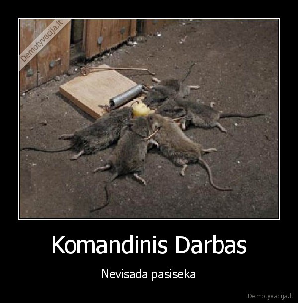 Komandinis Darbas