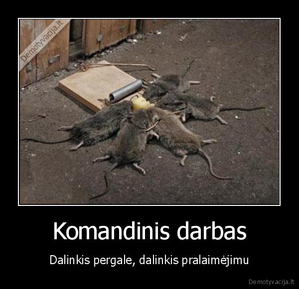 Komandinis darbas