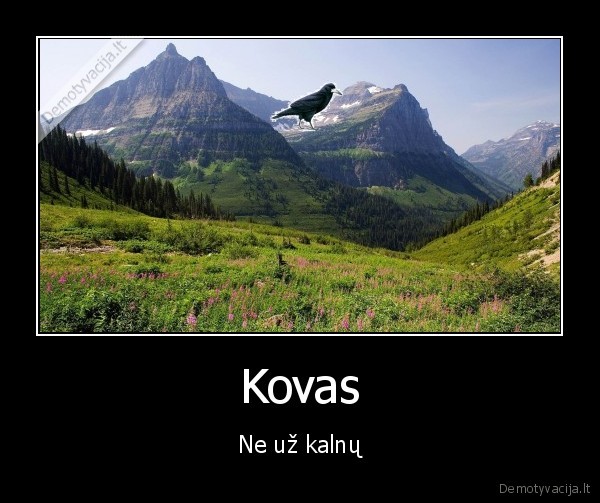 kovas