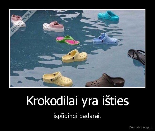 krokodilas,kroksas,gyvunas,slepete