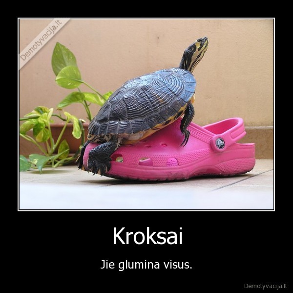 kroksai,crocs,vezlys,seksas