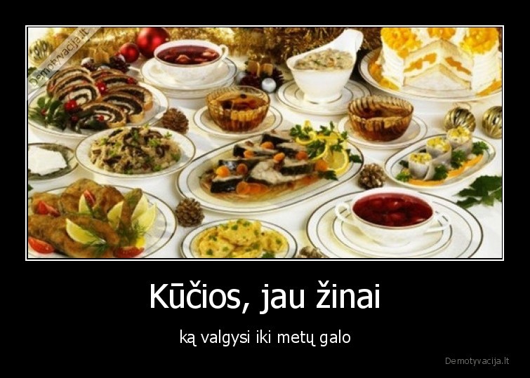 kucios,maistas,valgyti