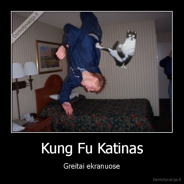 Kung Fu Katinas