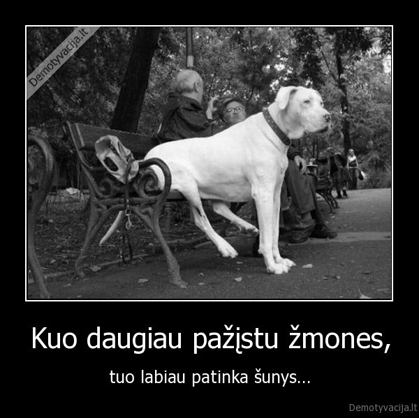 zmogus,sunys