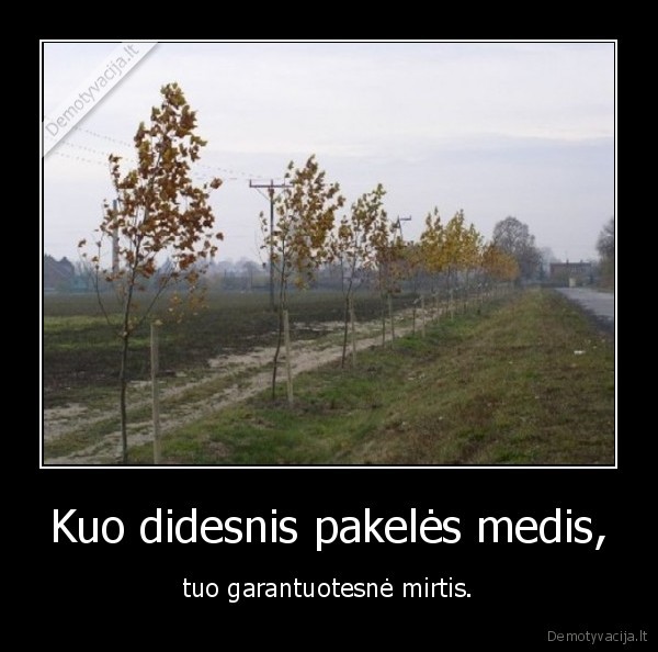 Kuo didesnis pakelės medis,