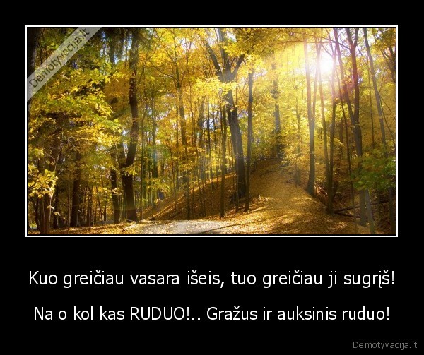 Kuo greičiau vasara išeis, tuo greičiau ji sugrįš!