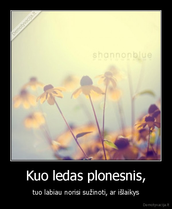 Kuo ledas plonesnis,