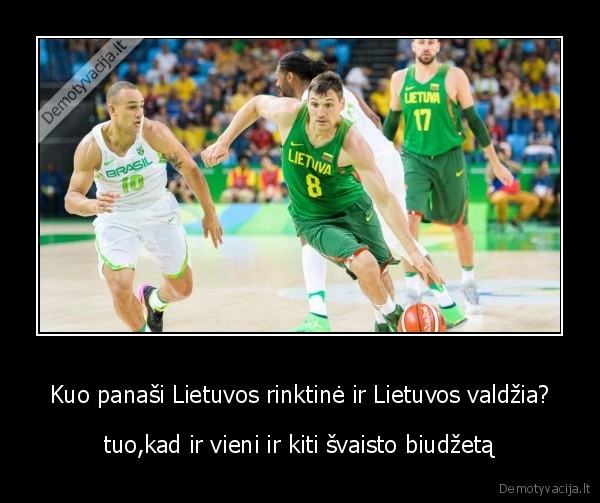 Kuo panaši Lietuvos rinktinė ir Lietuvos valdžia?