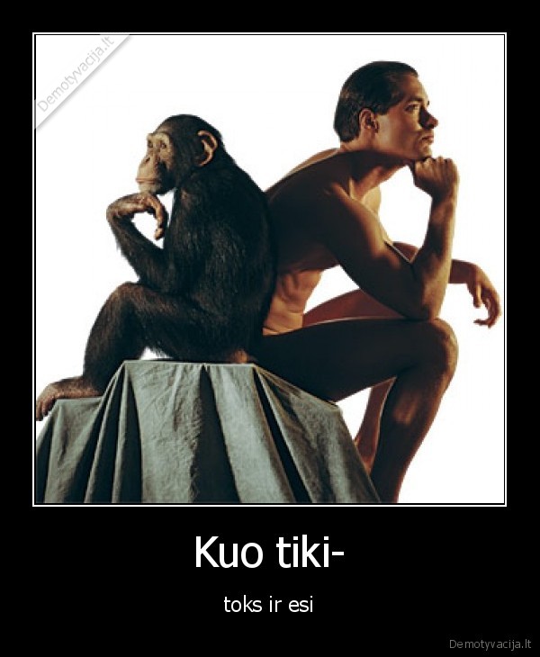 Kuo tiki-