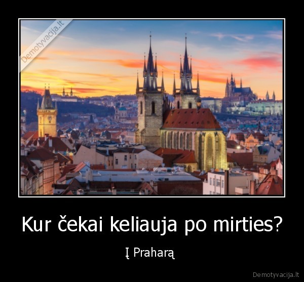 Kur čekai keliauja po mirties?