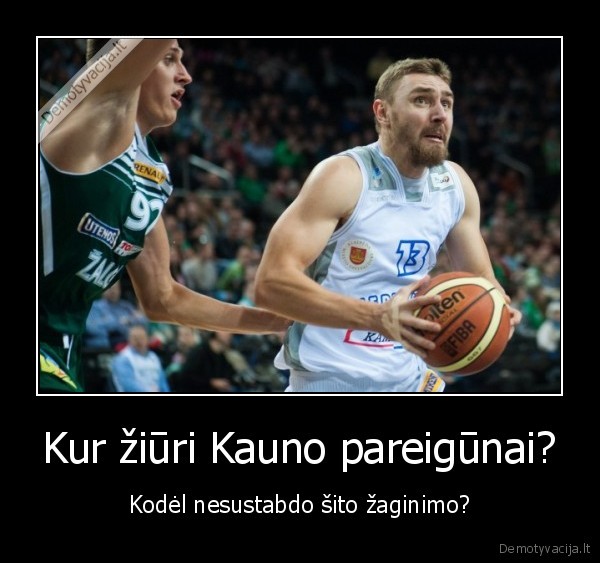 zalgiris, neptunas,kaunas,lkl