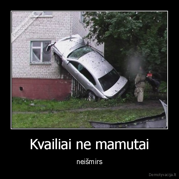 Kvailiai ne mamutai