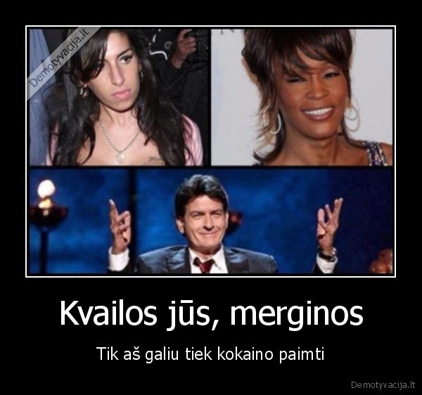 charlie, sheen, amy, winehouse, whitney, houston, kokainas, narkotikai