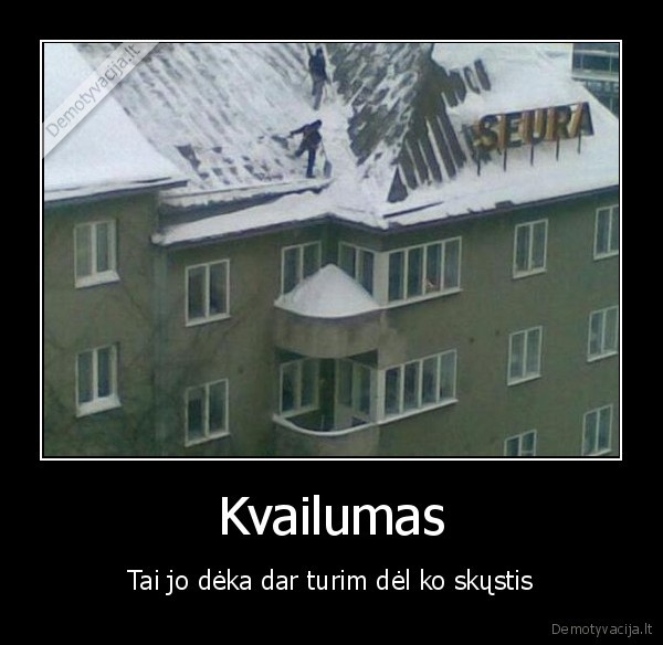 kvailumas, skundai, deka