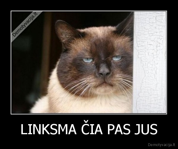 LINKSMA ČIA PAS JUS