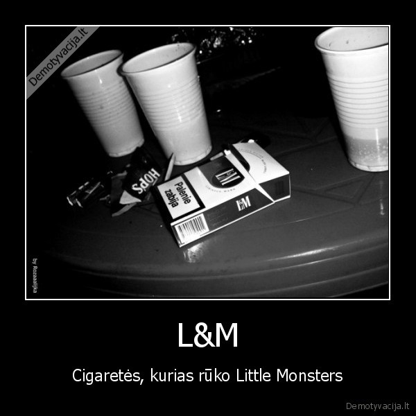 gaga,lm