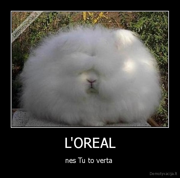 L'OREAL