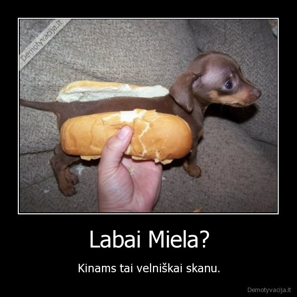 Labai Miela?