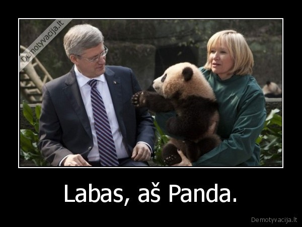 Labas, aš Panda.