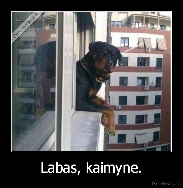 Labas, kaimyne.