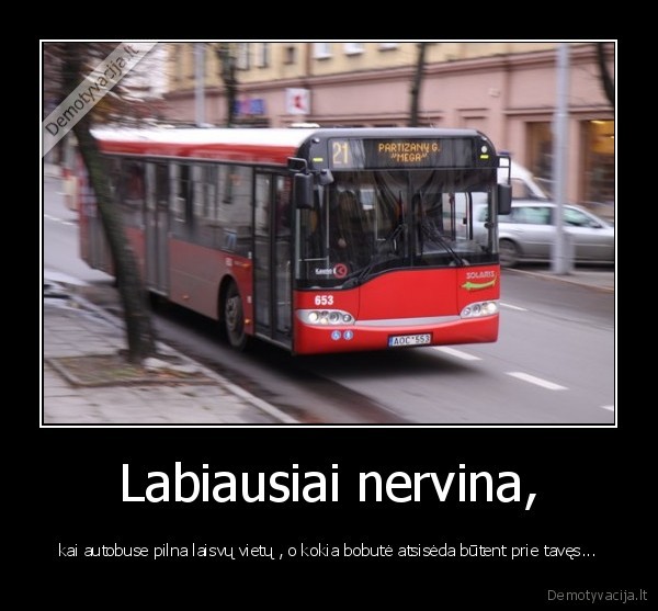 autobusas,bobutes, nervina