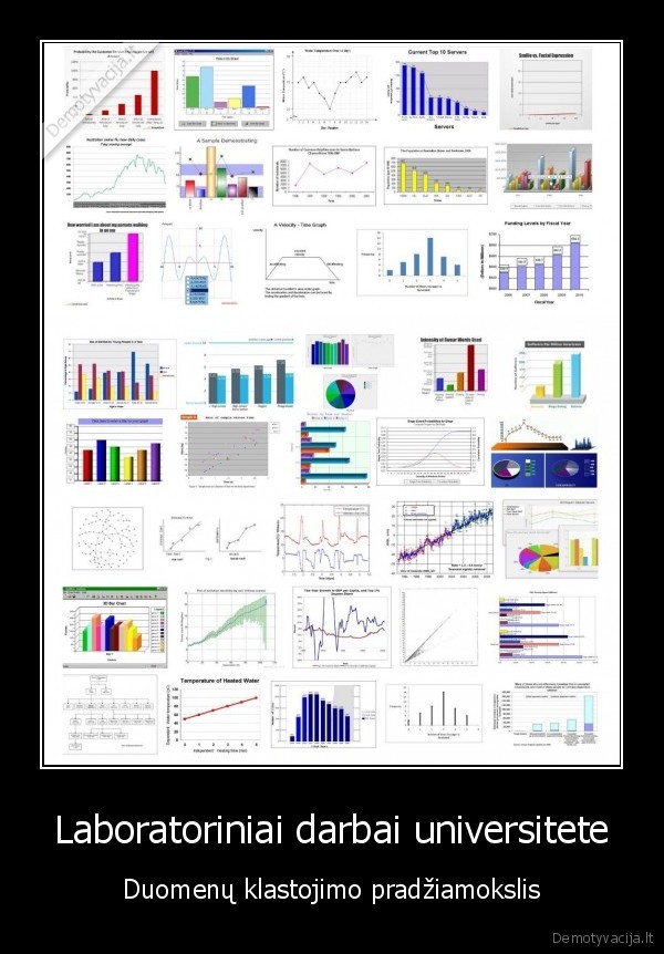 Laboratoriniai darbai universitete