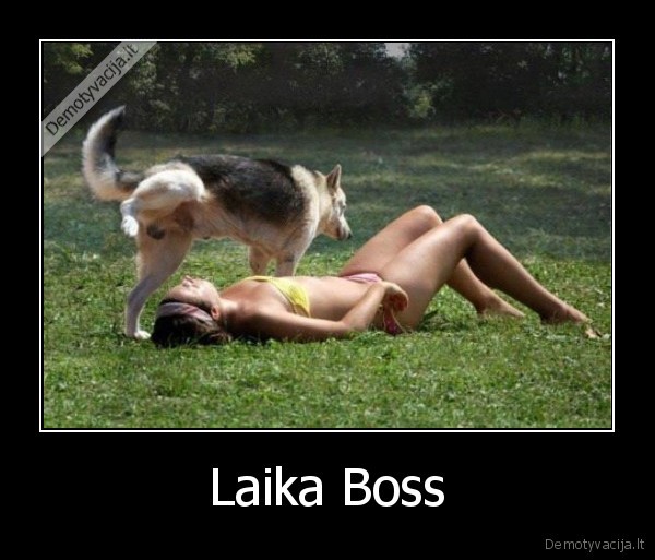 Laika Boss