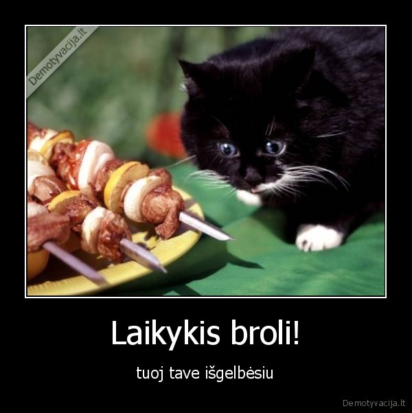 Laikykis broli!