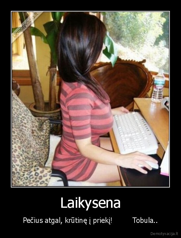 Laikysena