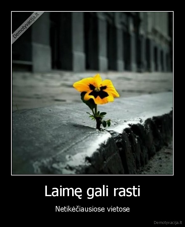 Laimę gali rasti