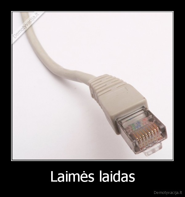 interneto, laidas,interneto, kabelis