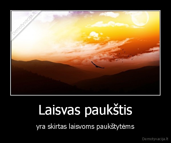 Laisvas paukštis