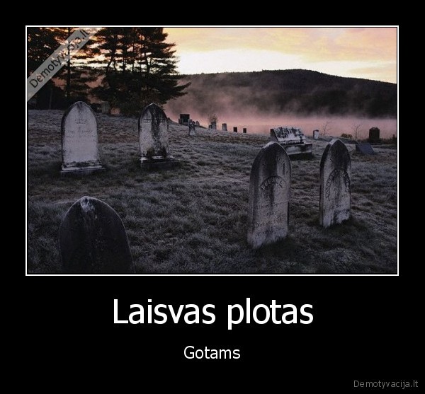 Laisvas plotas