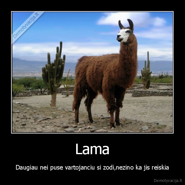 Lama