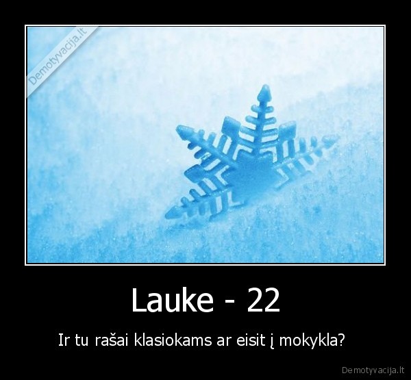 Lauke - 22