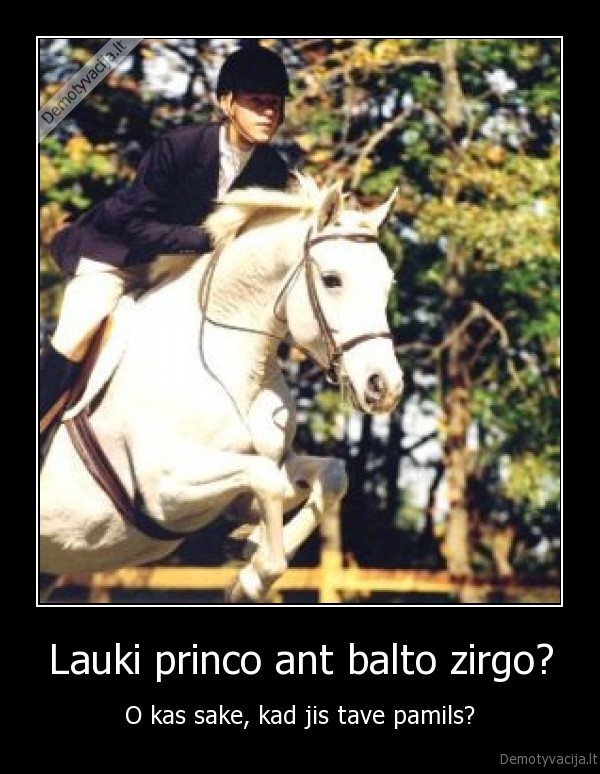 Lauki princo ant balto zirgo?