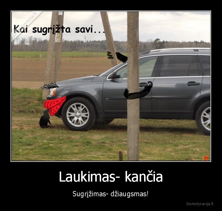 laukimas,kancia,sugrizimas,dziaugsmas