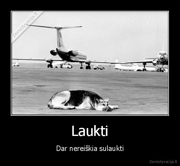 Laukti