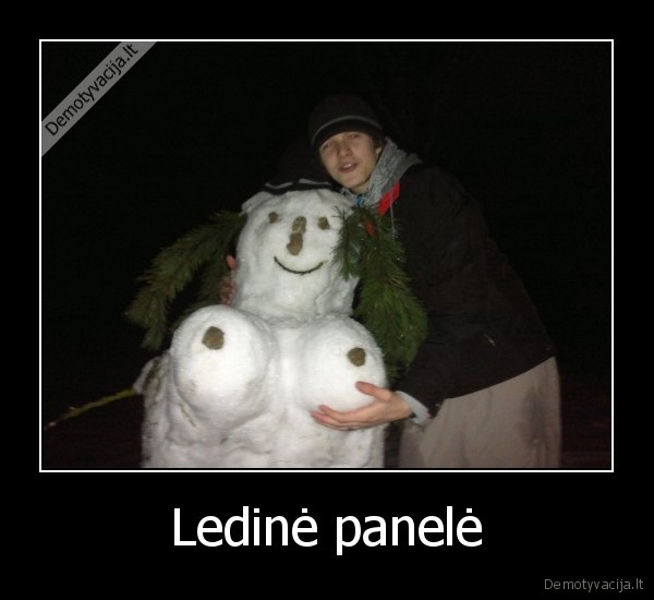 Ledinė panelė