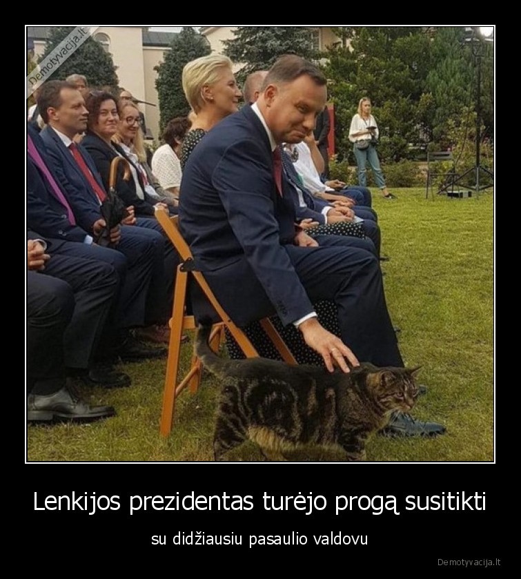 prezidentas,katinas,valdovas,susitiko