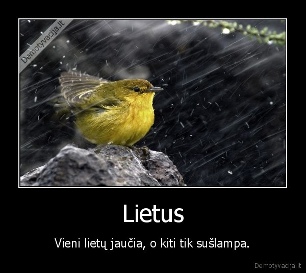 Lietus