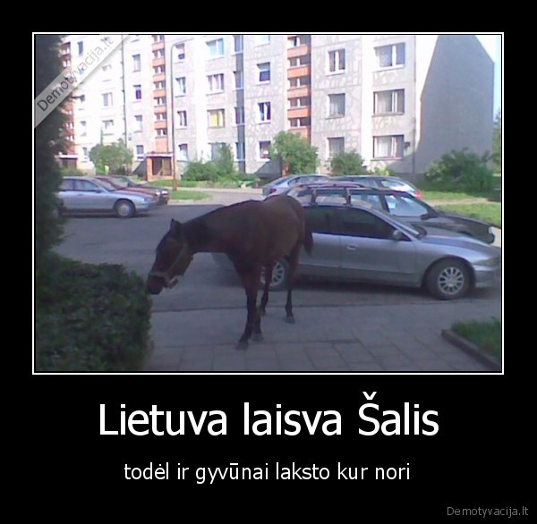 Lietuva laisva Šalis